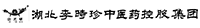 湖北李时珍中医药控股集团健康产业有限公司