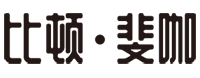 武汉比顿科技有限公司