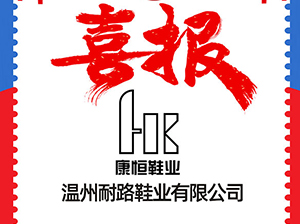 温州市康恒鞋业受邀参加3月12杭州全国团长大会，一件代发货源对接会
